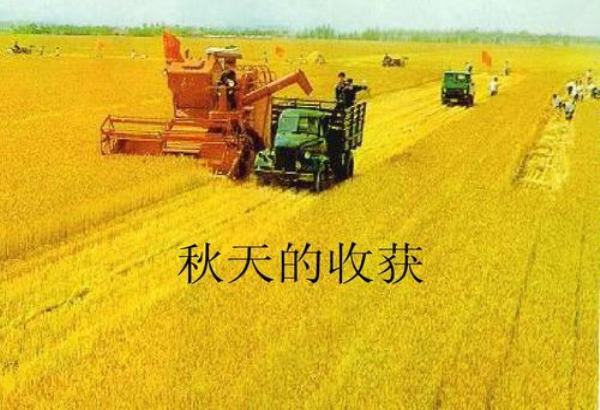 经典广告词500句 