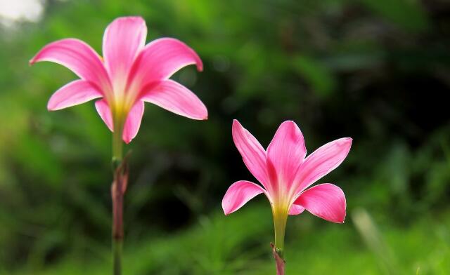 恋人元宵节祝福短信 