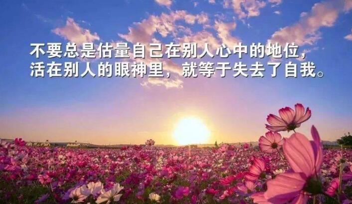 幼儿园重阳节文案(266句) 