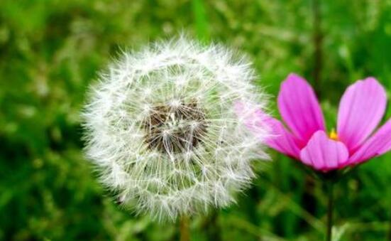 关于勤俭节约的名人名言有哪些?，关于勤俭节约的名人励志名言(44个) 