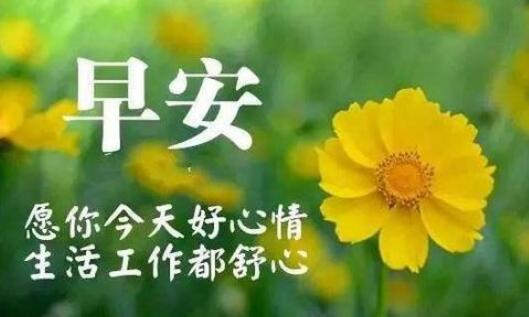 一秒点赞的适合发朋友圈的句子 