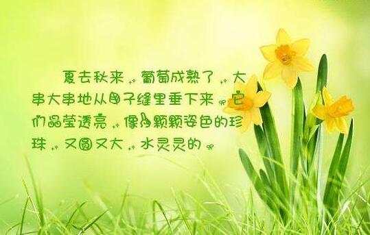 具有吸引力的个性说说50句 