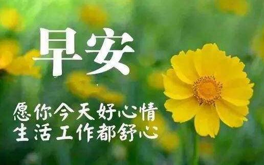 带娃出去玩的说说(整理204句) 