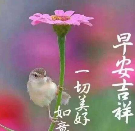 搞笑下雨天的心情说说49句 