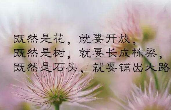鲁迅的名言名句精选 