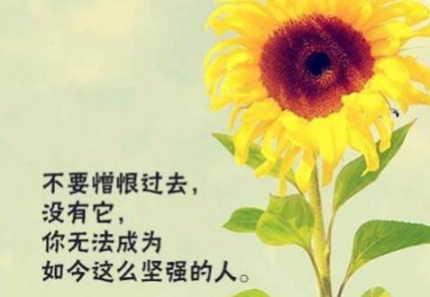 睡前暖心的话 晚安，睡前最暖心的晚安句子(31句) 