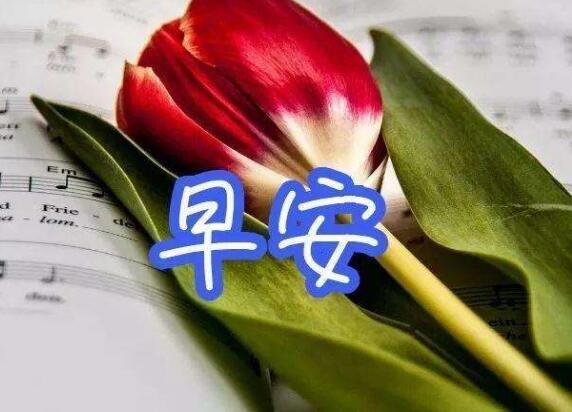 一辈子的爱情说说49句 
