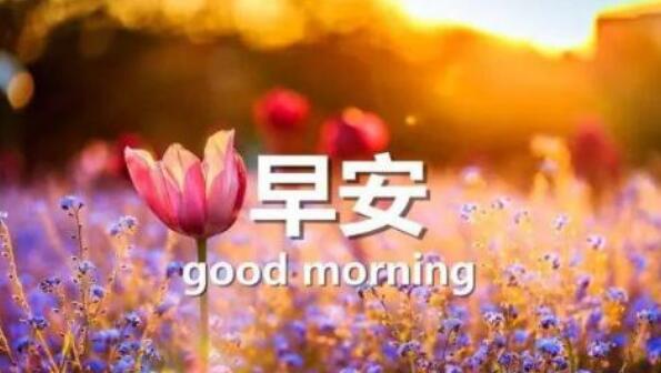 优美的短句(整理40句) 