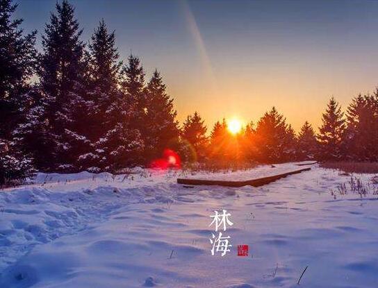给长辈发的新年文案，今日立春朋友圈给长辈的温馨文案(49句) 