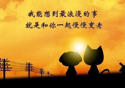 好听的网名女（精选330个） 