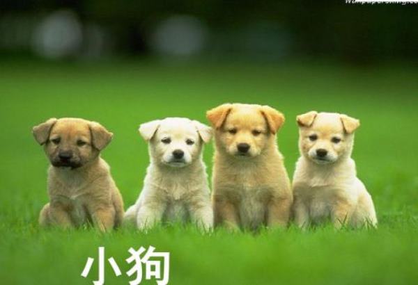 元宵节简单祝福短信 