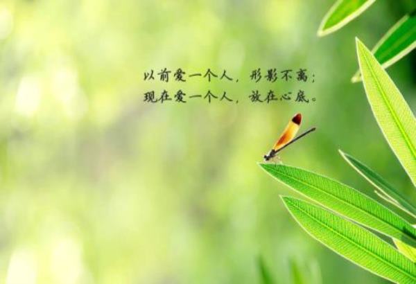 逗比说说短语心情90句 